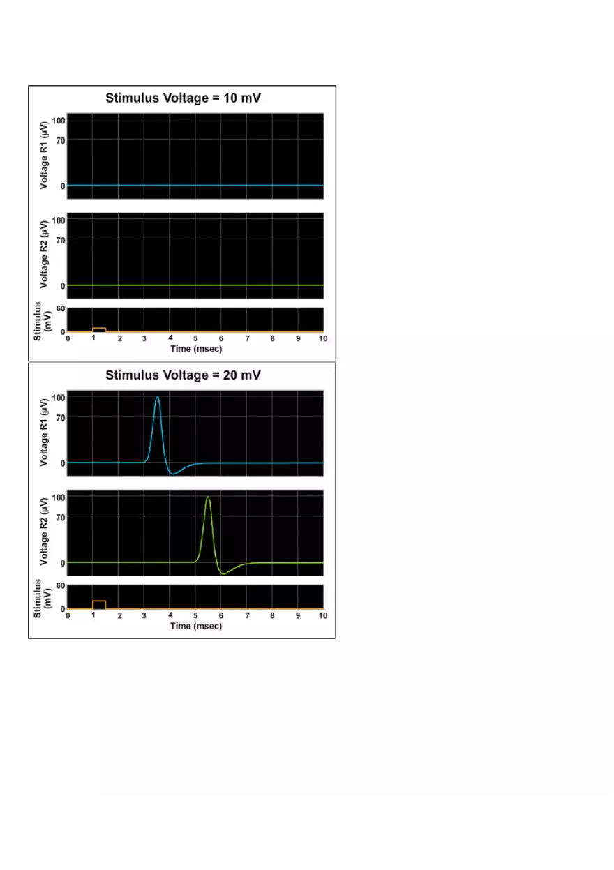The Action Potential - Threshold Lab Report - Page 3
