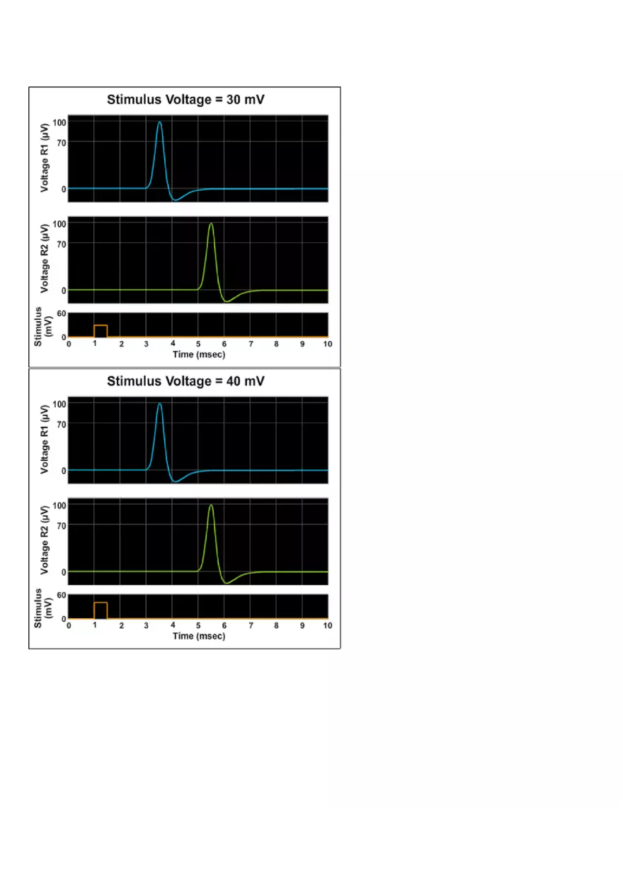 The Action Potential - Threshold Lab Report - Page 4