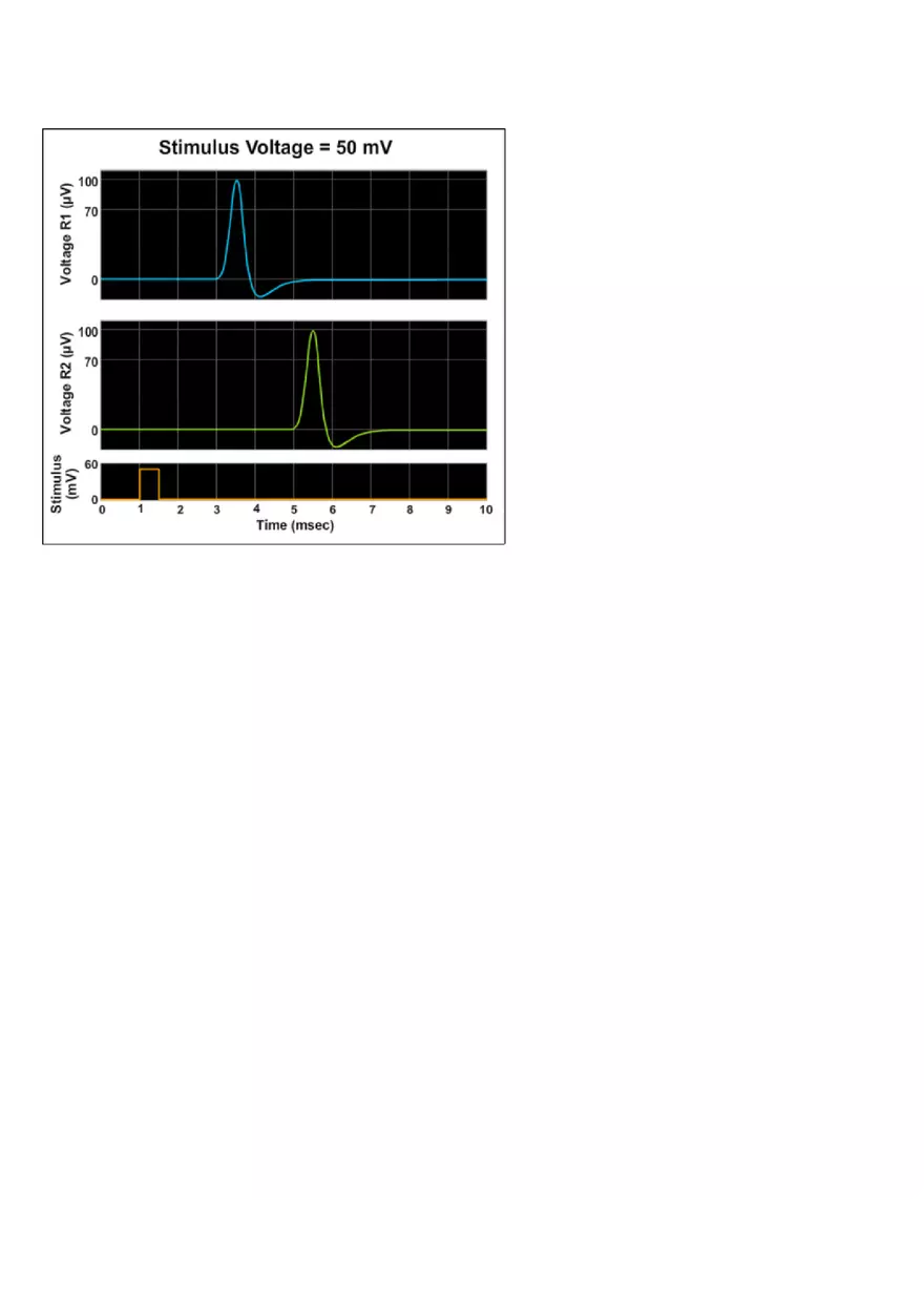 The Action Potential - Threshold Lab Report - Page 5