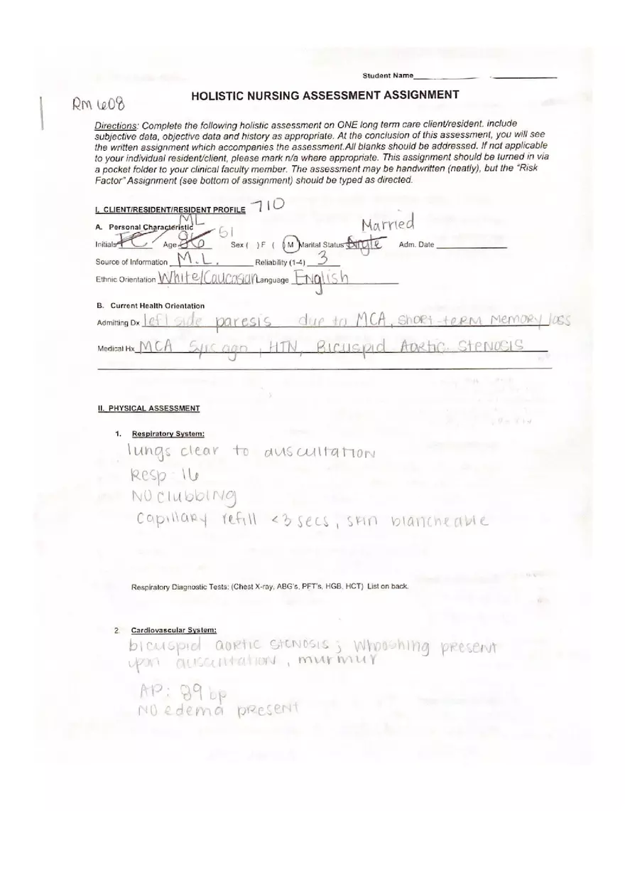 Example Holistic Nursing Assessment - Page 1