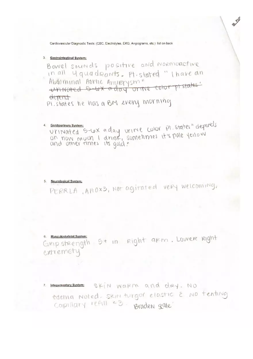 Example Holistic Nursing Assessment - Page 2