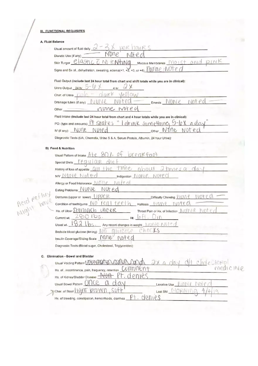 Example Holistic Nursing Assessment - Page 3