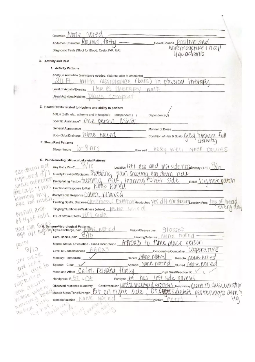 Example Holistic Nursing Assessment - Page 4