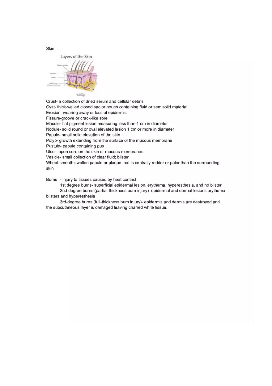 Unit 5 Review - Skin - Page 1