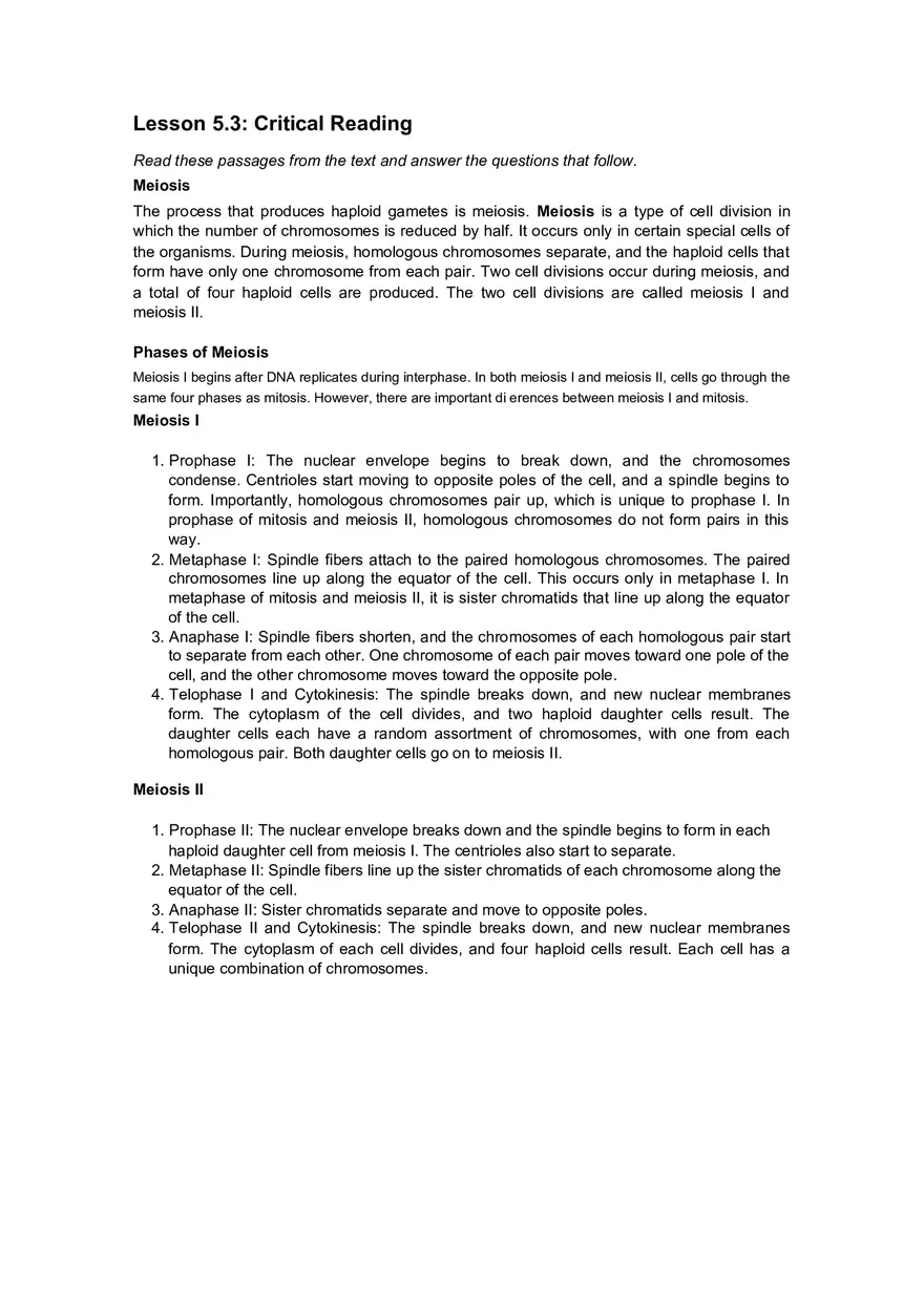 Cell Cycle Mitosis Meiosis Worksheet Answers - Page 9