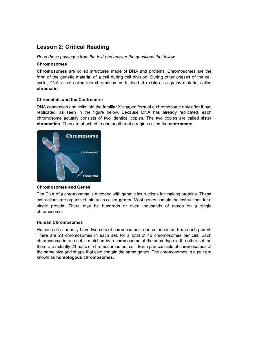 Cell Cycle Mitosis Meiosis Worksheet Answers - Page 22