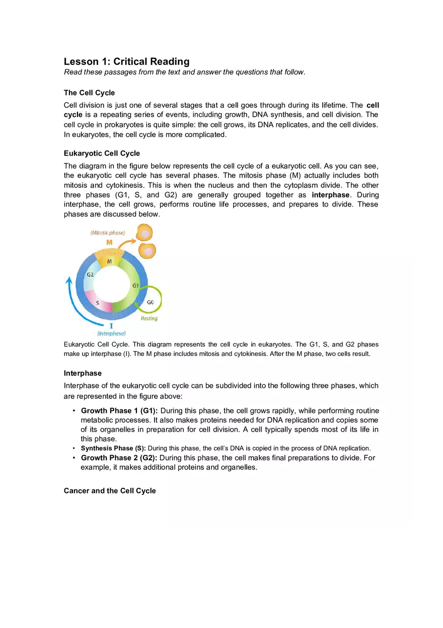 Cell Cycle Mitosis Meiosis Worksheet Answers - Page 2