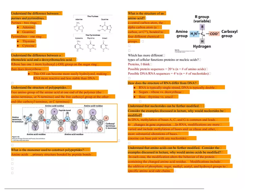 Molecular Biology - Lecture Notes 1-5 - Page 7