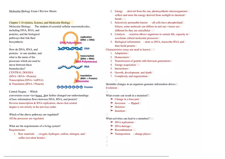 Molecular Biology - Lecture Notes 1-5 - Page 1