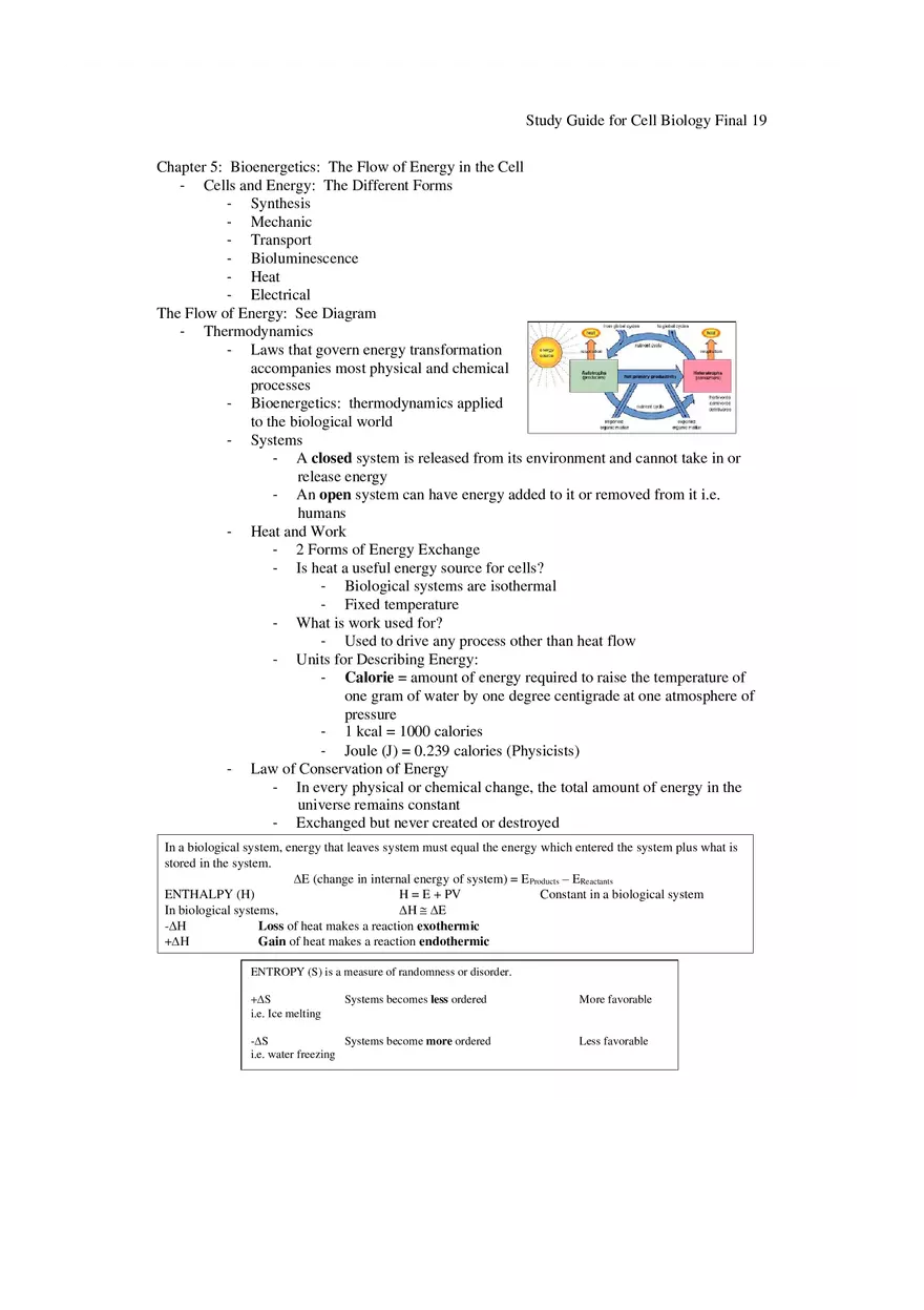 Study Guide for Cell Biology Final Part 2 - Page 11
