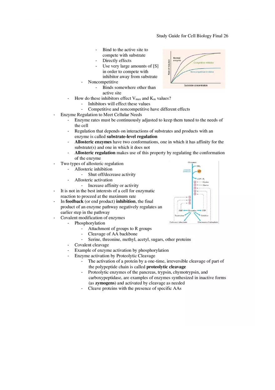 Study Guide for Cell Biology Final Part 2 - Page 6