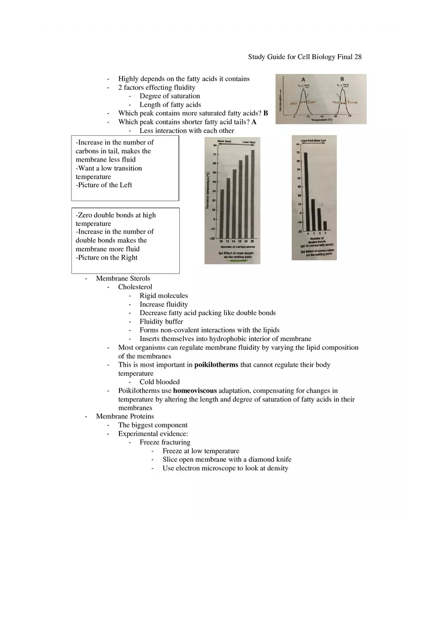 Study Guide for Cell Biology Final Part 3 - Page 2