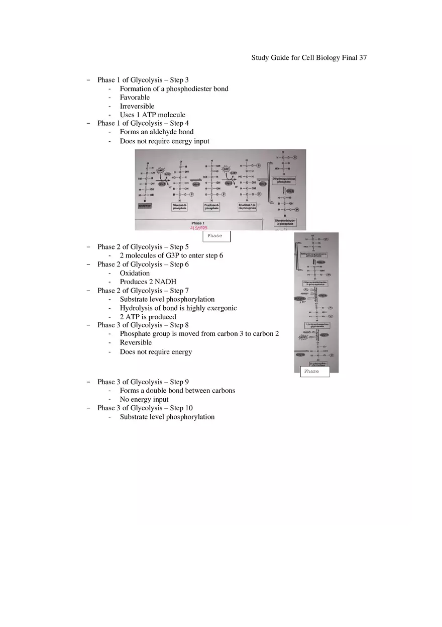 Study Guide for Cell Biology Final Part 3 - Page 3