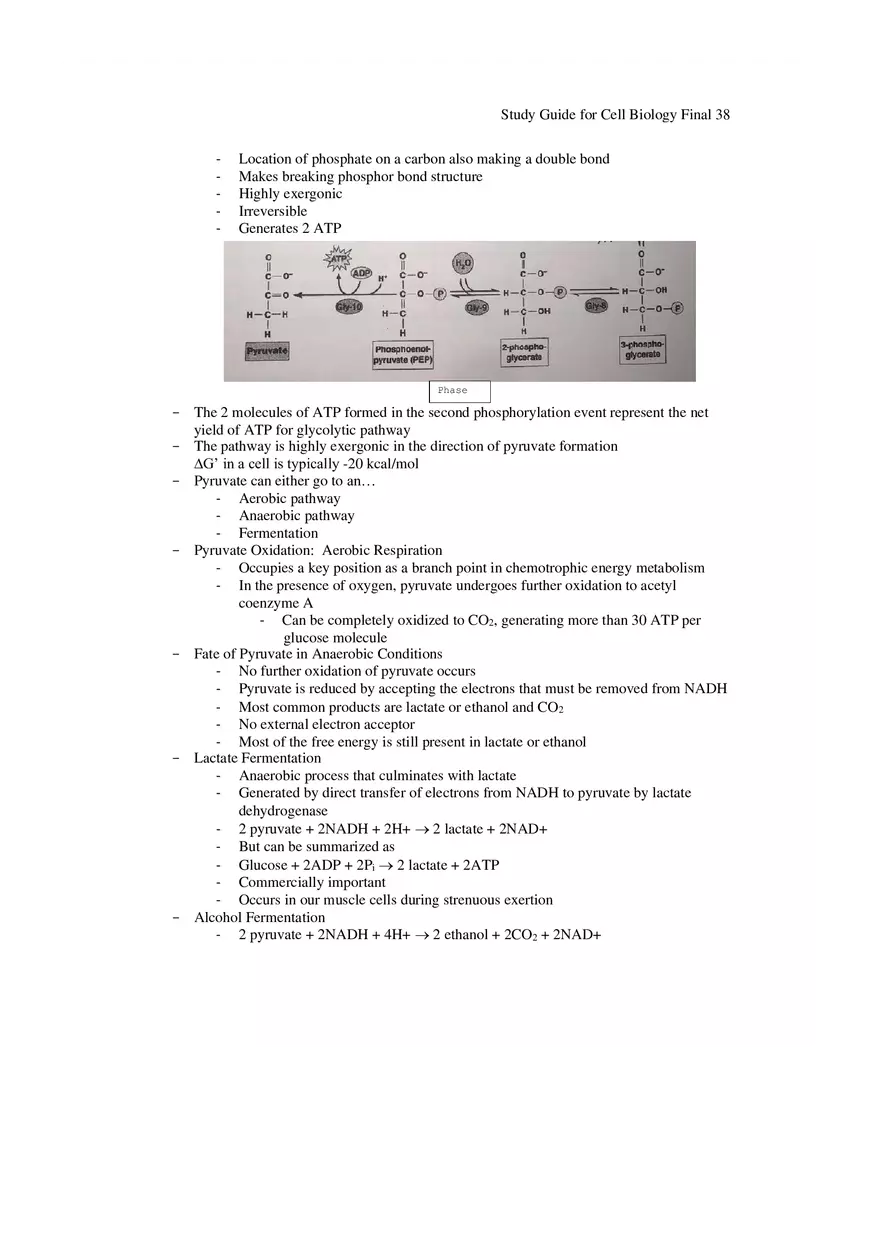Study Guide for Cell Biology Final Part 3 - Page 4