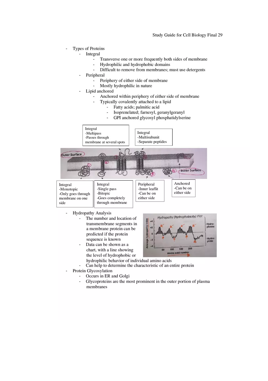 Study Guide for Cell Biology Final Part 3 - Page 6