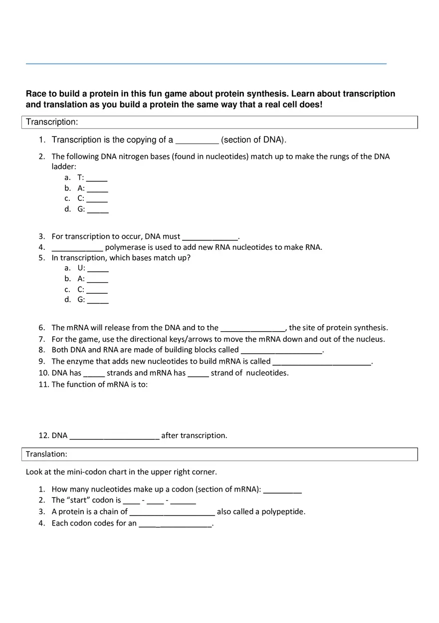 Protein Synthesis Race Worksheet - Page 1
