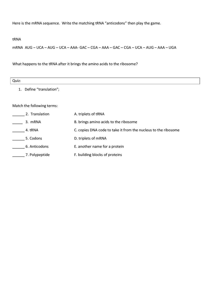 Protein Synthesis Race Worksheet - Page 2