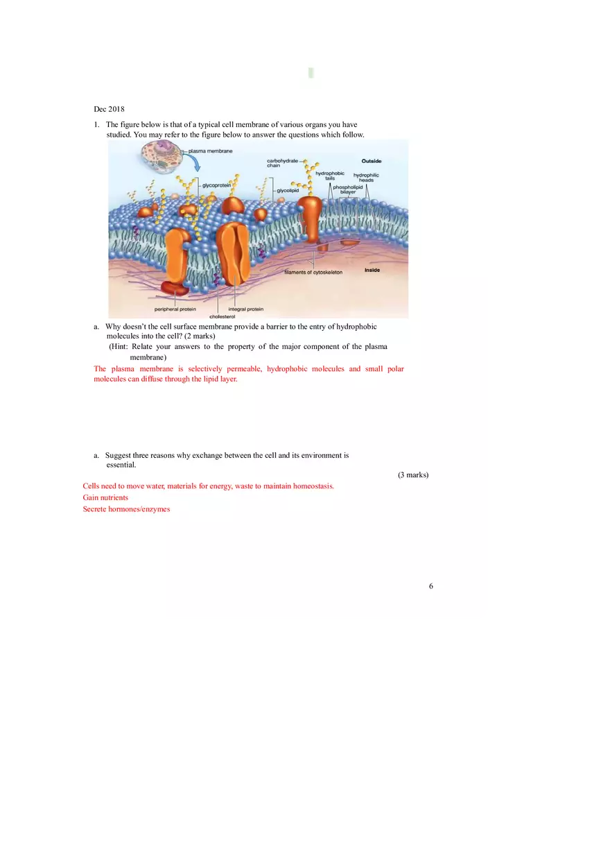 Membrane Structure and Transport Worksheet with Answers - Page 7