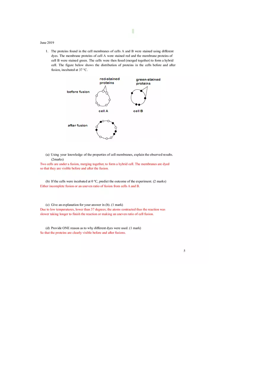 Membrane Structure and Transport Worksheet with Answers - Page 6