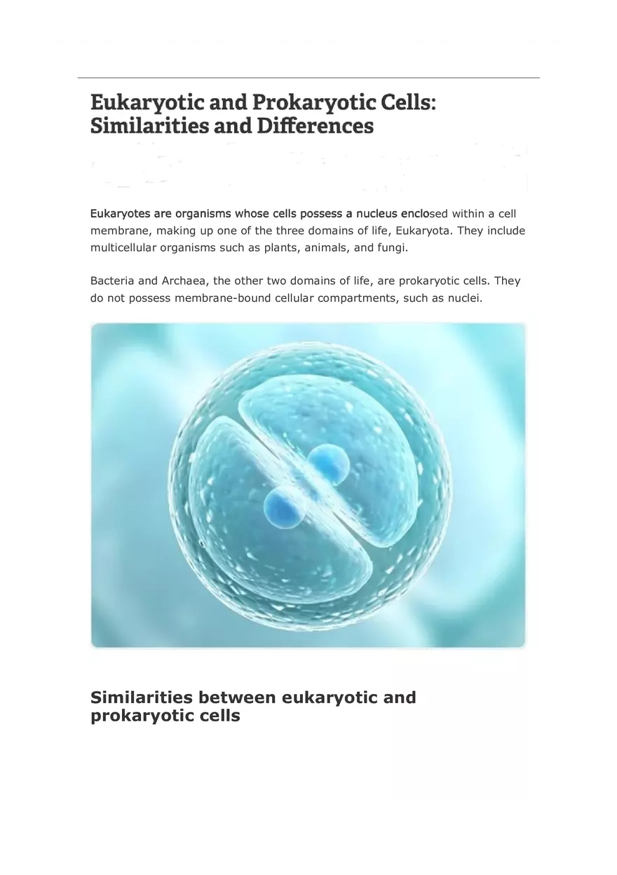 Eukaryotic and Prokaryotic Cells Similarities and Differences - Page 1