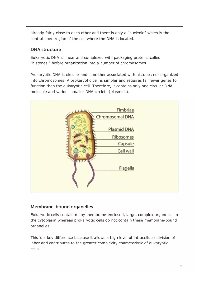 Eukaryotic and Prokaryotic Cells Similarities and Differences - Page 4