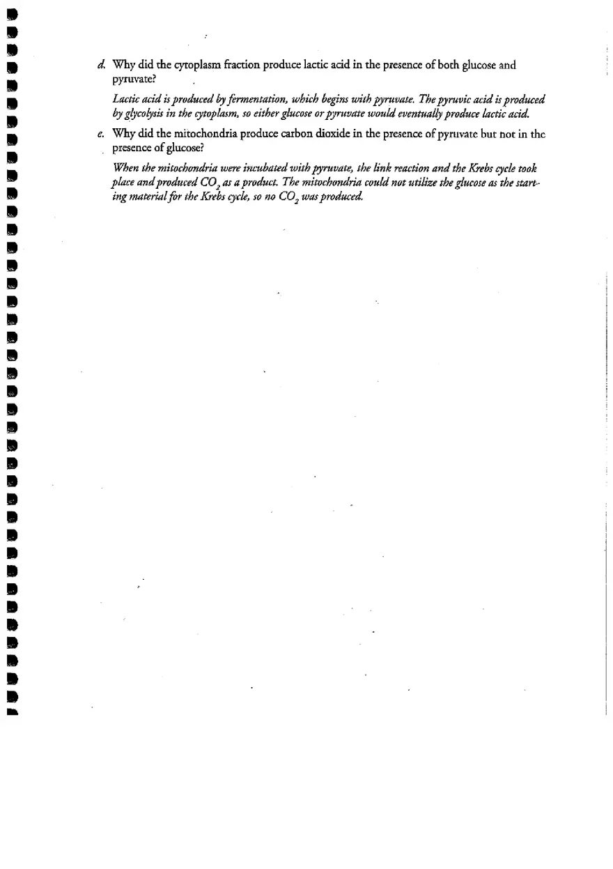 Cellular Respiration (Answer) - Page 7