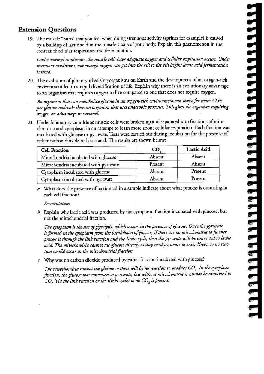 Cellular Respiration (Answer) - Page 6