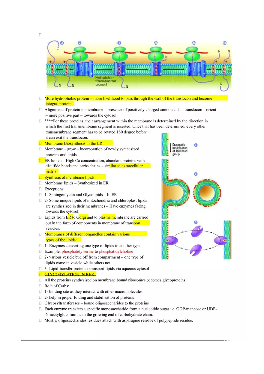 Introduction of Cell, Cell Theory and History Chapter 2 Part 2 - Page 12