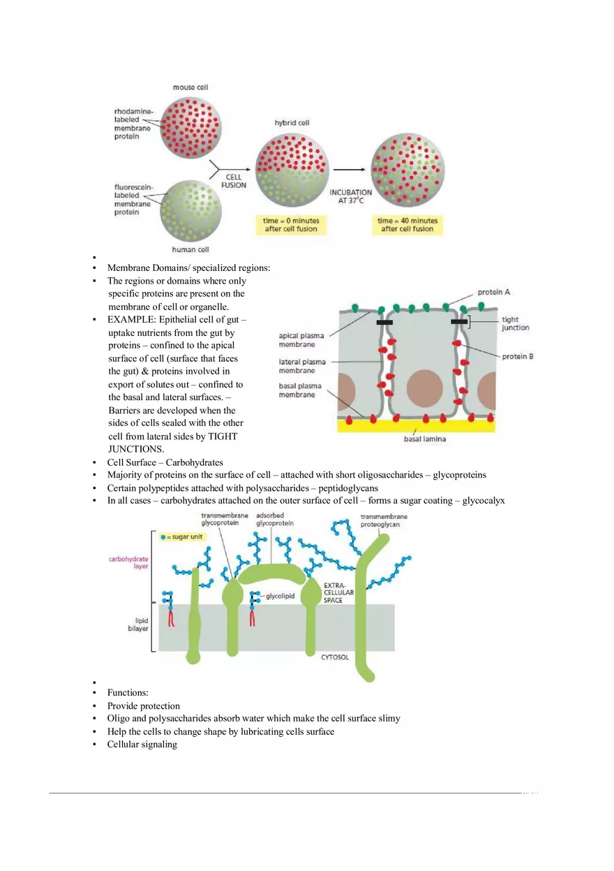 Introduction of Cell, Cell Theory and History Chapter 2 Part 2 - Page 1