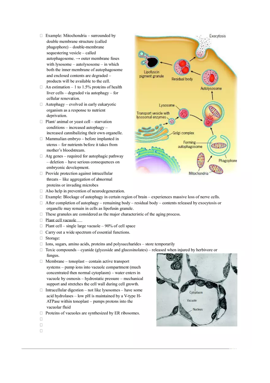 Introduction of Cell, Cell Theory and History Chapter 2 Part 2 - Page 4