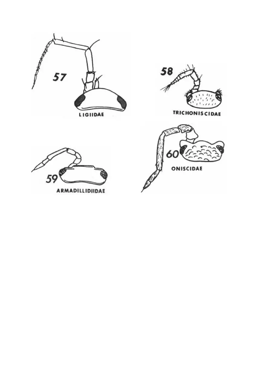 Biology - This is Crucial to Doing Well on Lab Reports Part 3 - Page 14