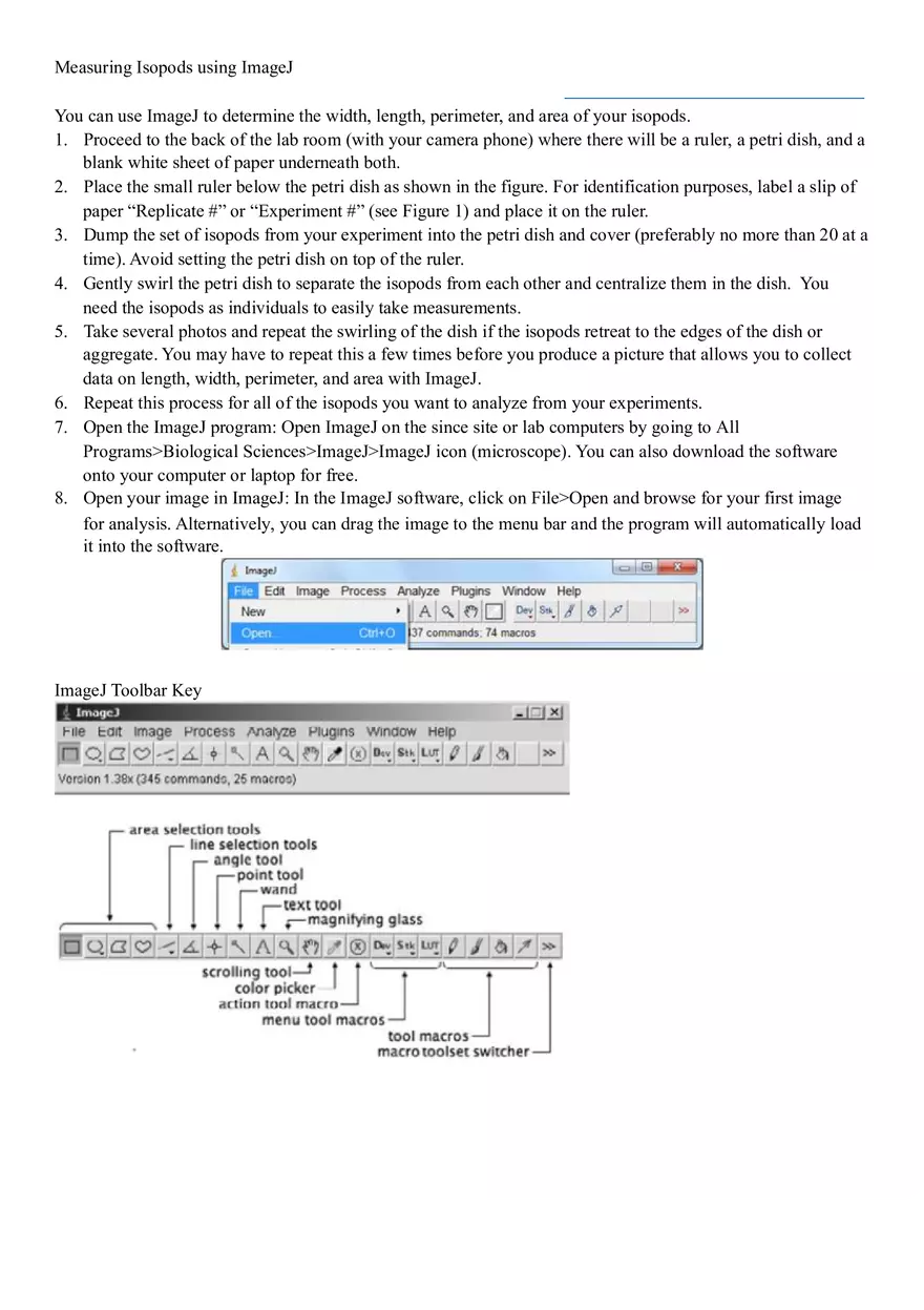 Biology - This is Crucial to Doing Well on Lab Reports Part 3 - Page 3