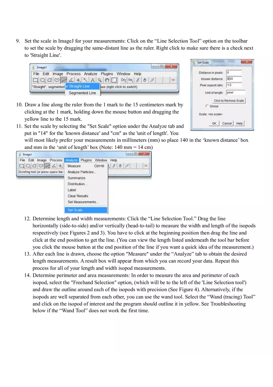 Biology - This is Crucial to Doing Well on Lab Reports Part 3 - Page 4