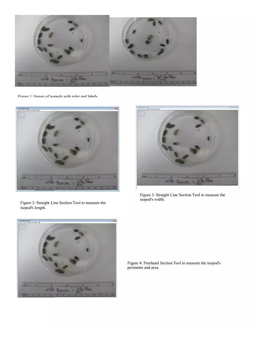 Biology - This is Crucial to Doing Well on Lab Reports Part 3 - Page 6