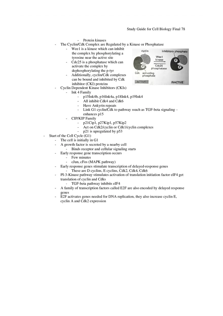 Study Guide for Cell Biology Final Part 7 - Page 7