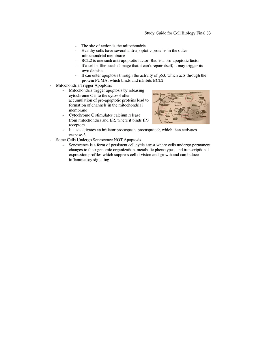 Study Guide for Cell Biology Final Part 7 - Page 12