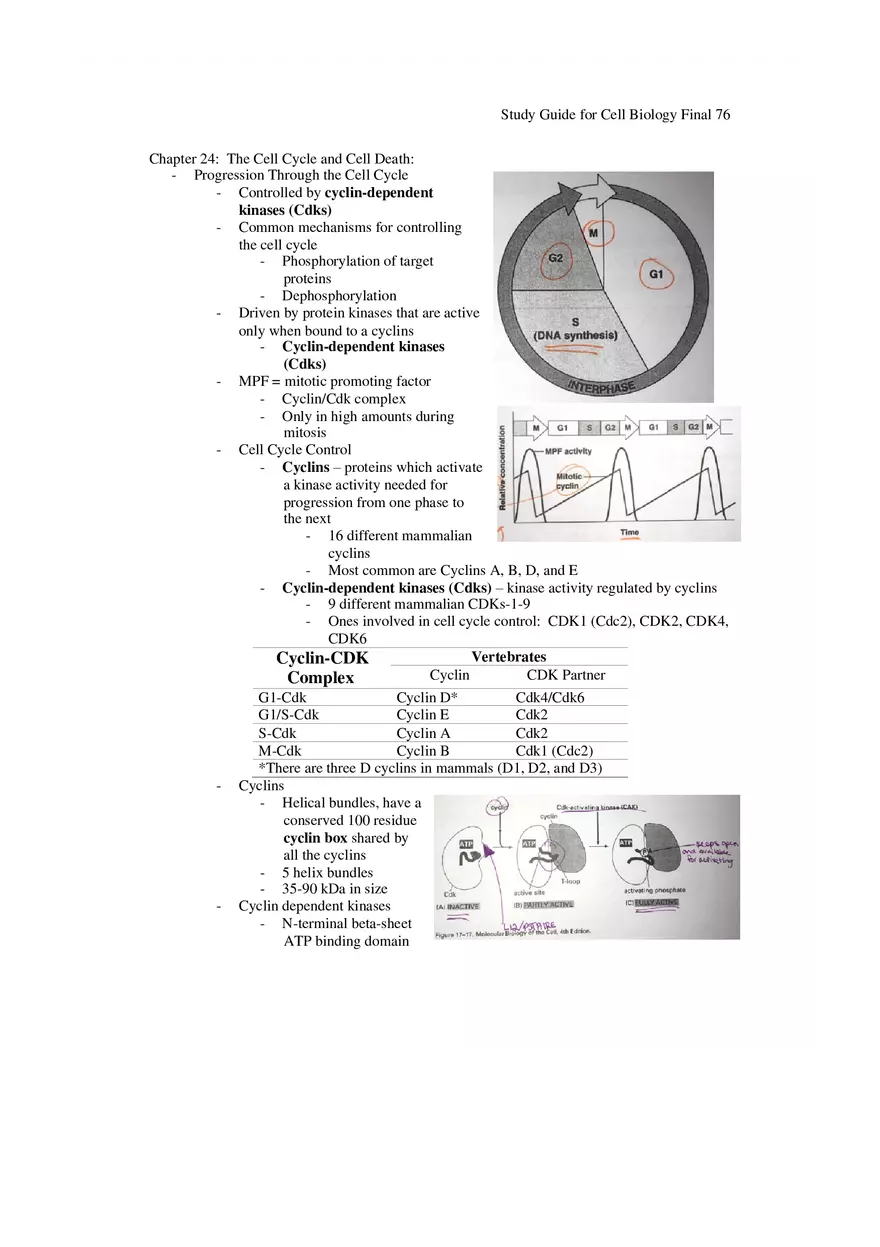 Study Guide for Cell Biology Final Part 7 - Page 1