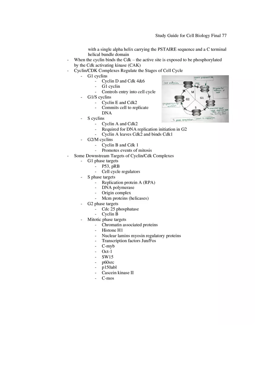 Study Guide for Cell Biology Final Part 7 - Page 2