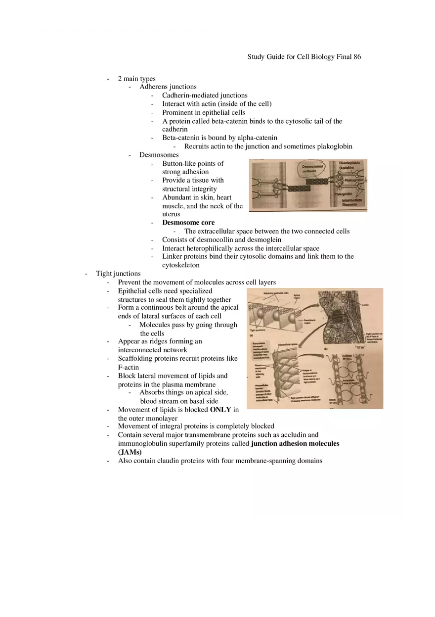Study Guide for Cell Biology Final Part 7 - Page 3