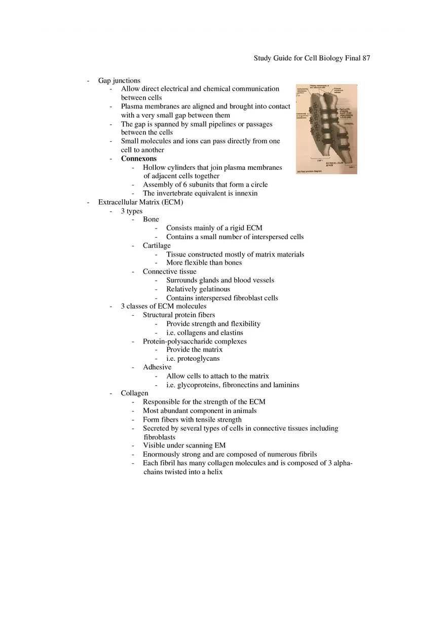 Study Guide for Cell Biology Final Part 7 - Page 4