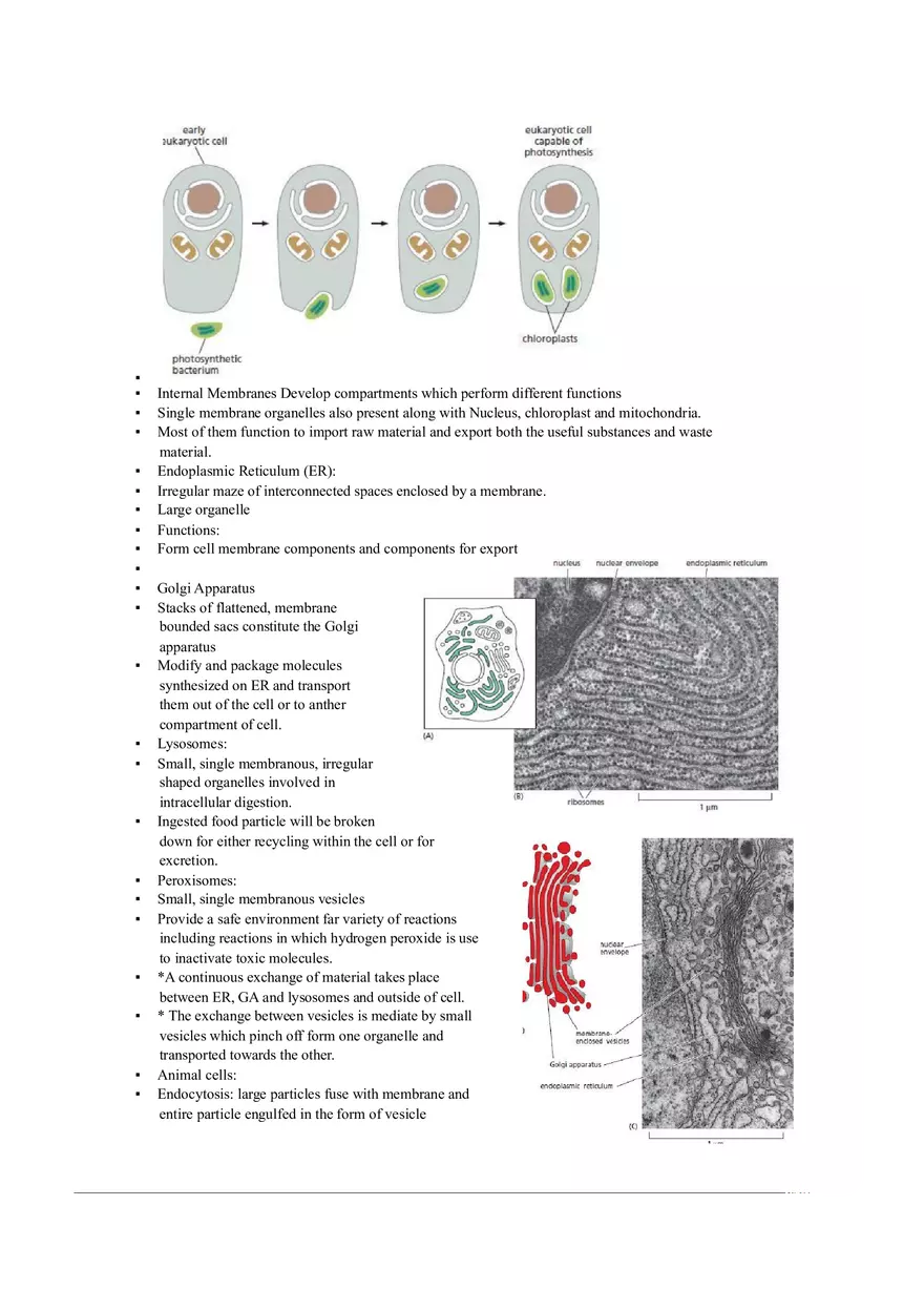 Introduction of Cell, Cell Theory and History Chapter 1 - Page 7