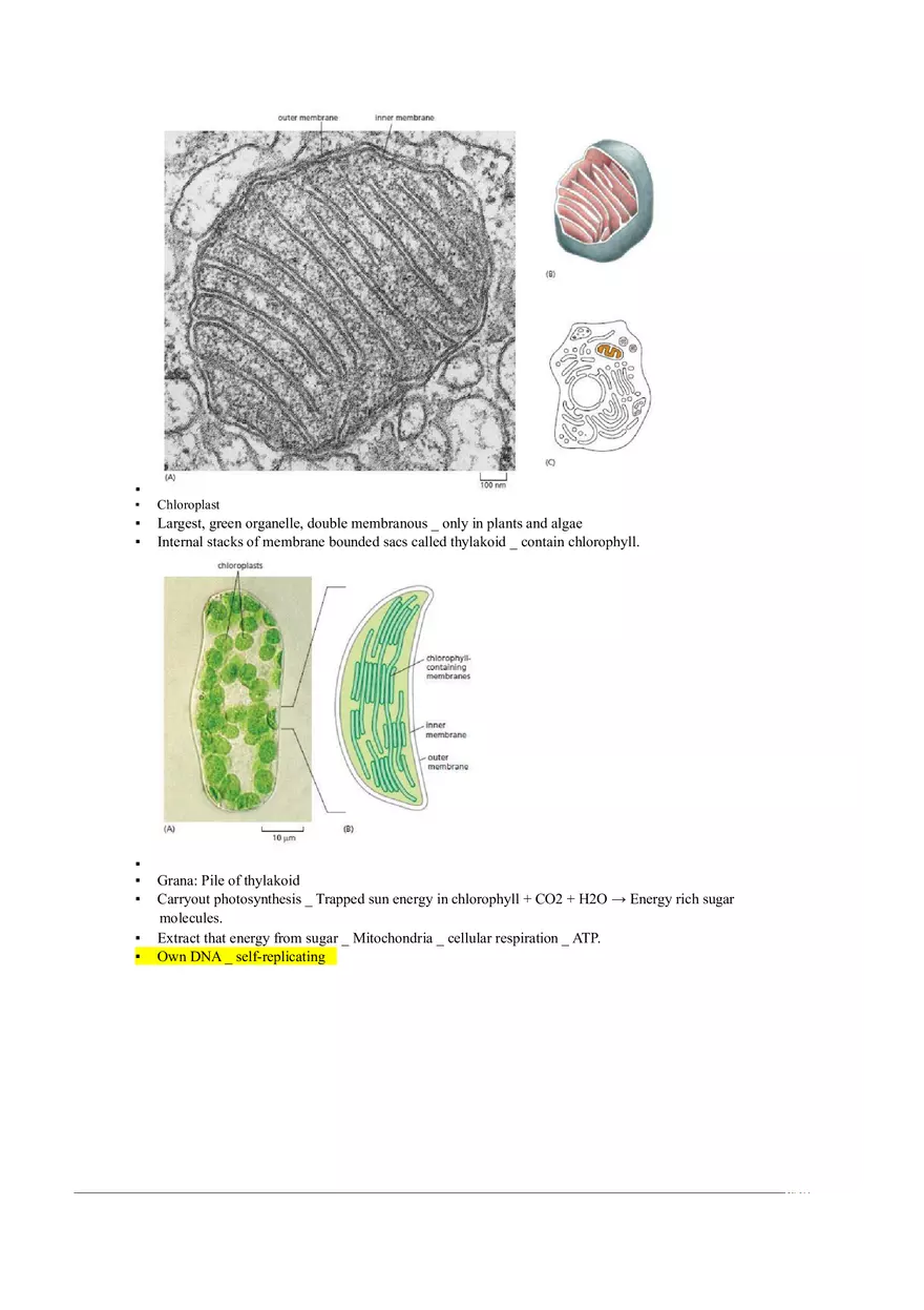 Introduction of Cell, Cell Theory and History Chapter 1 - Page 6