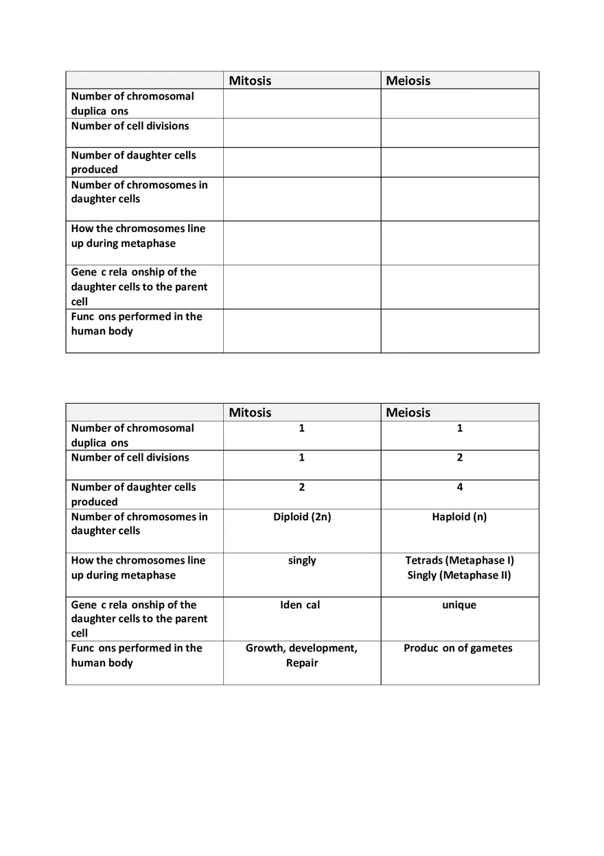 Mitosis Meiosis Table - Page 1