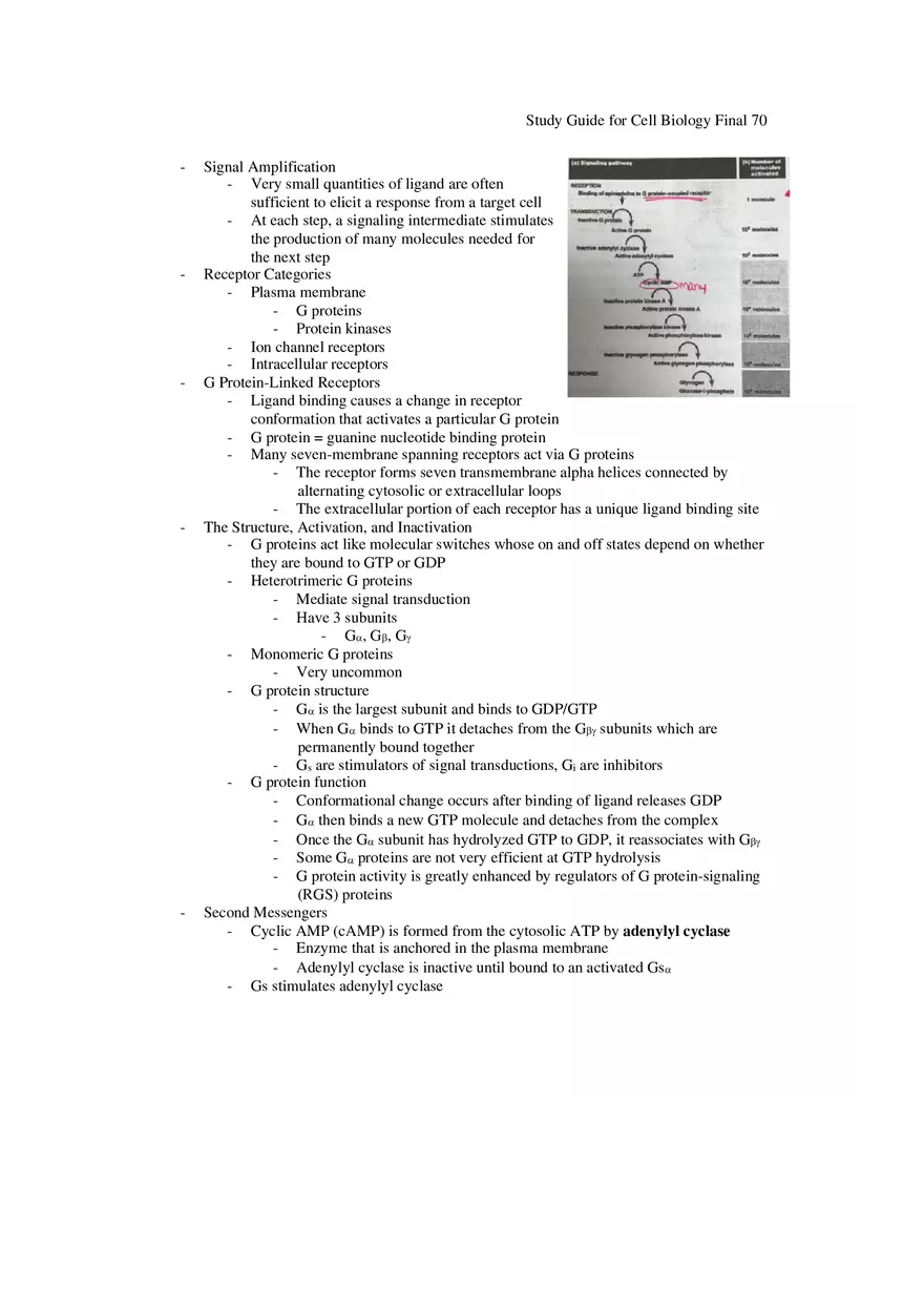 Study Guide for Cell Biology Final Part 6 - Page 7