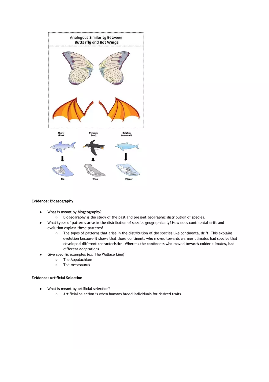 Evidence for Evolution Graphic Organizer - Page 3