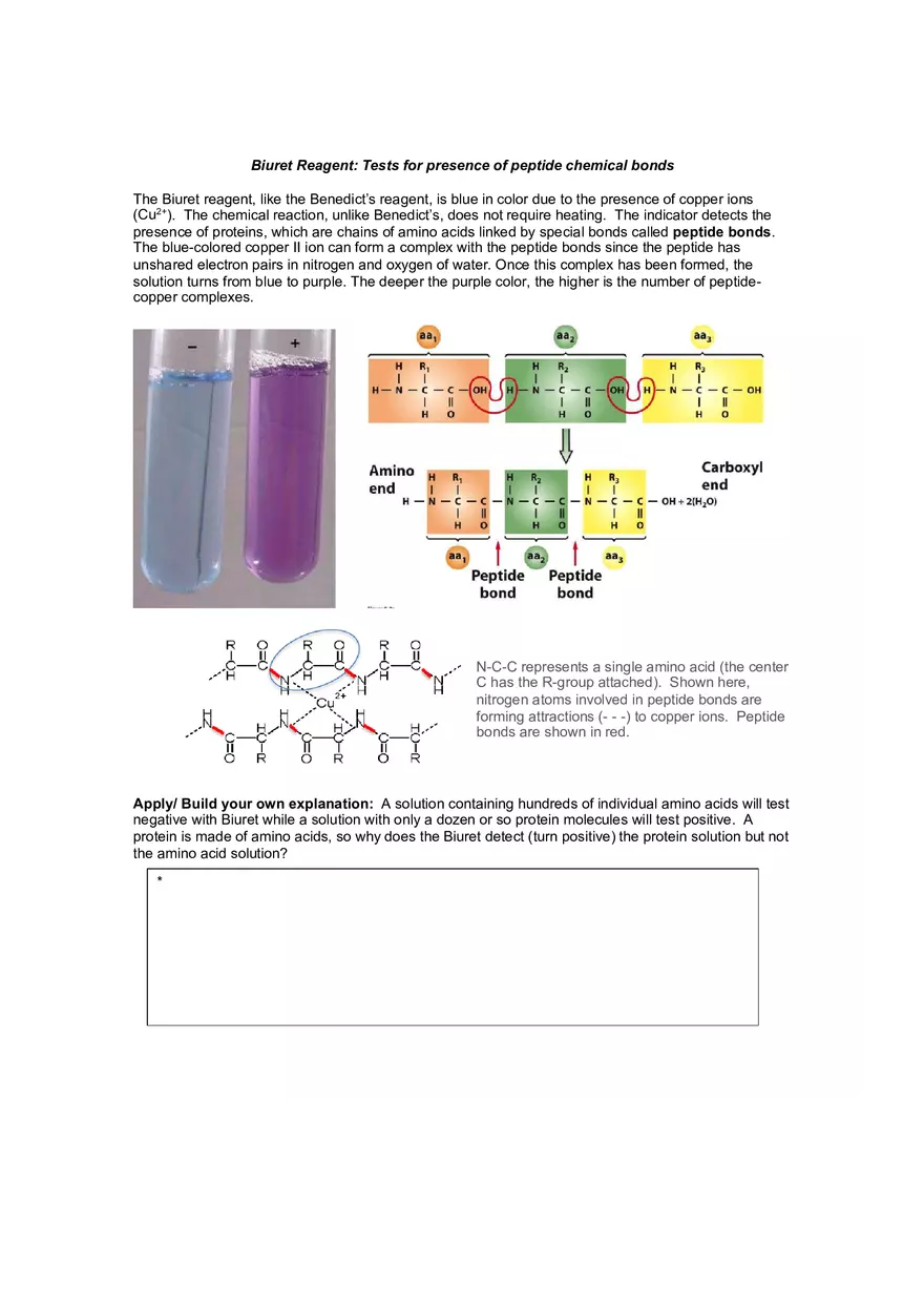 Lab 3 Testing for Biomolecules - Page 7