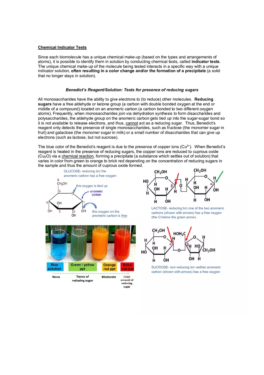 Lab 3 Testing for Biomolecules - Page 4