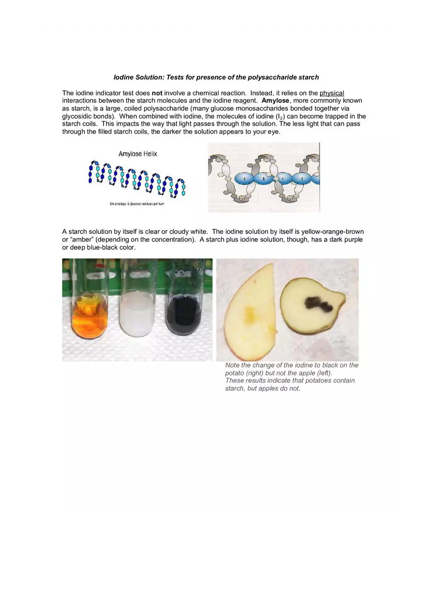 Lab 3 Testing for Biomolecules - Page 5