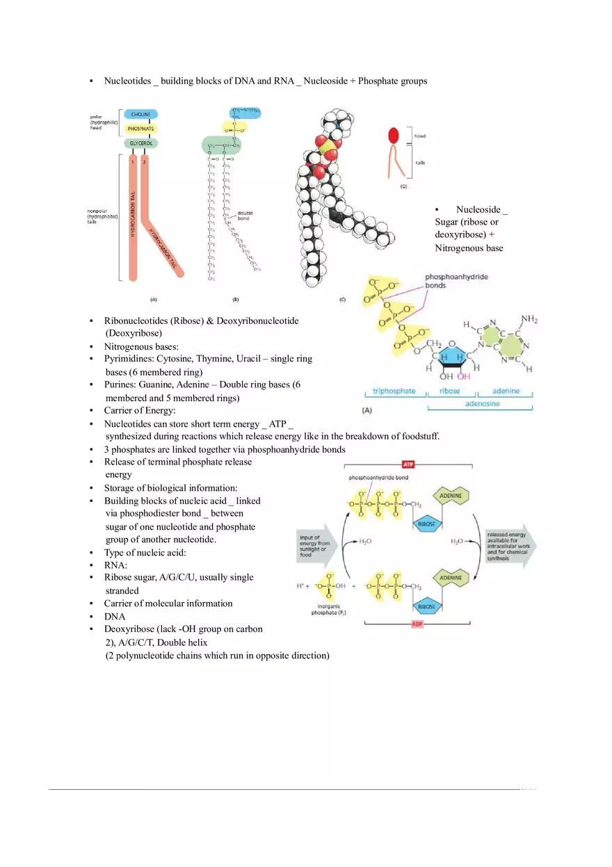 Introduction of Cell, Cell Theory and History Chapter 2 - Page 9