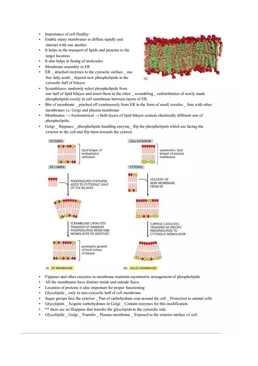 Introduction of Cell, Cell Theory and History Chapter 2 - Page 13
